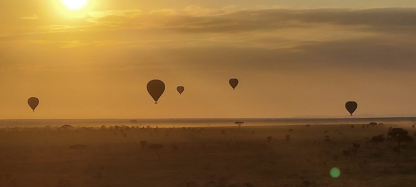 Soaring Over the Serengeti: A Magical Experience -- Balloon Safaris.